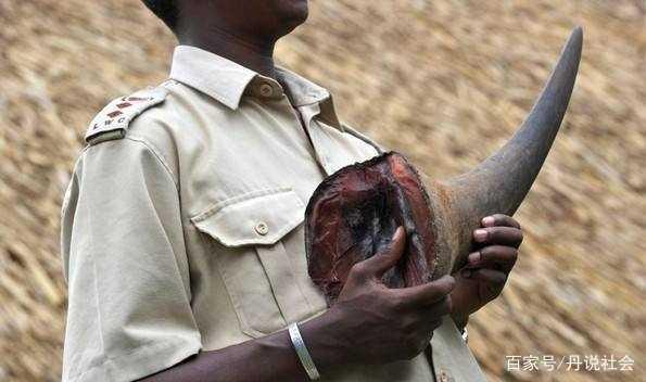 1581768800480708.jpeg 1.jpeg