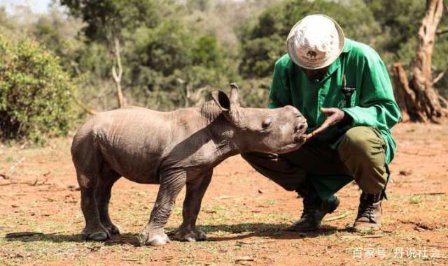 1581768846107179.jpeg 3.jpeg