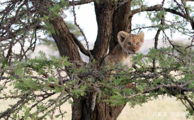 1581768873104937.jpeg 4.jpeg