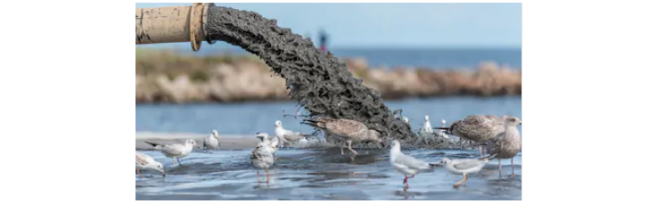 1589167032896739.png 圖片.png