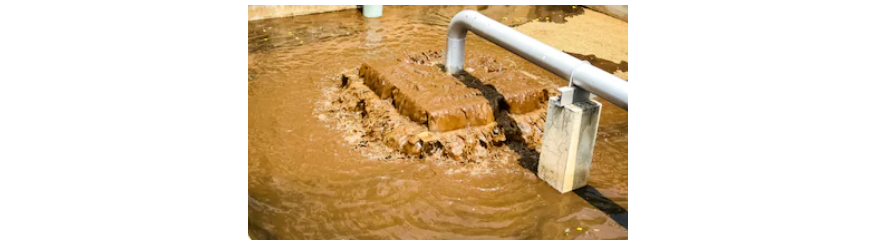 1589246274382251.png 圖片.png